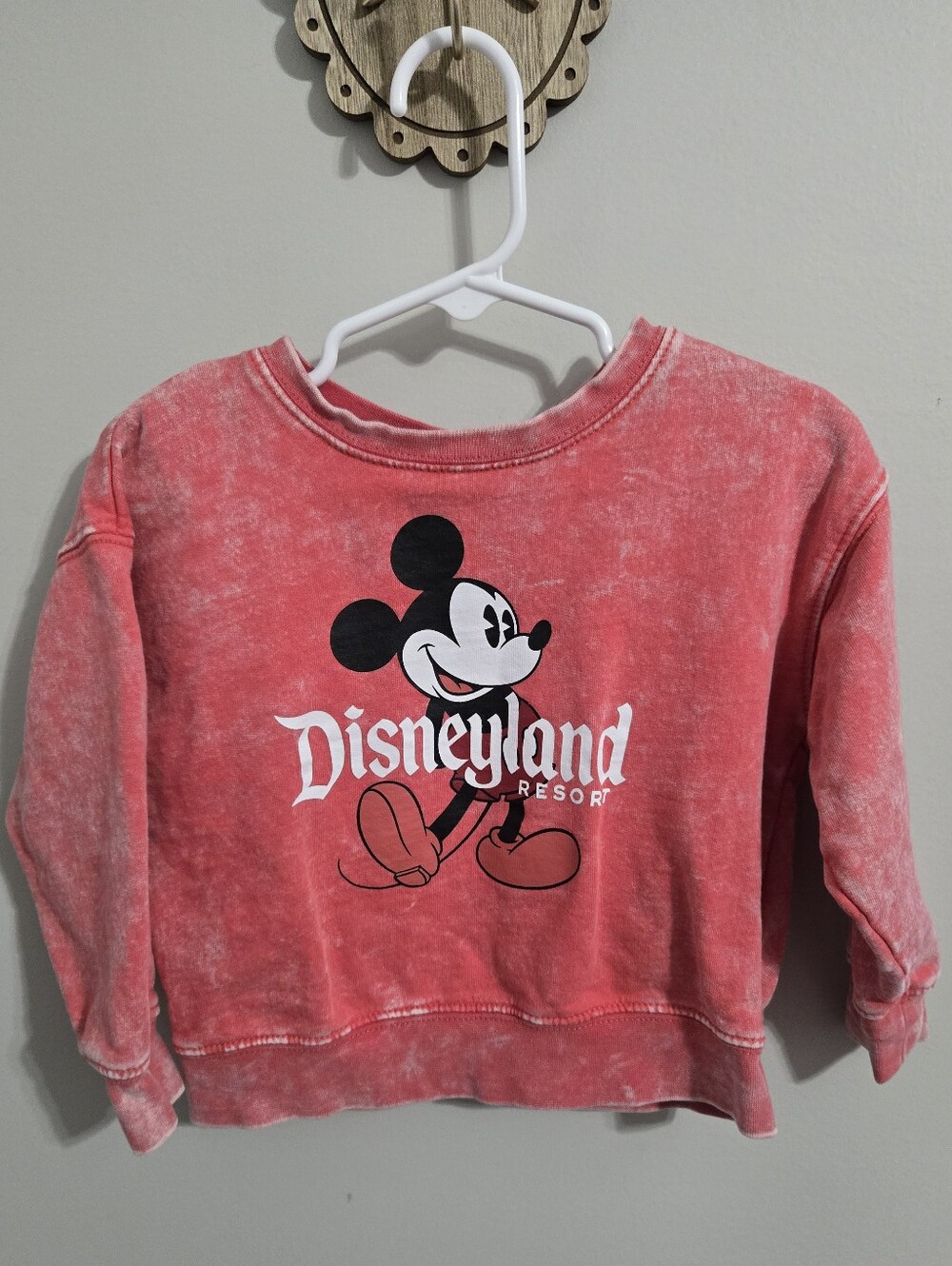 Toddler Disneyland Sweatshirt